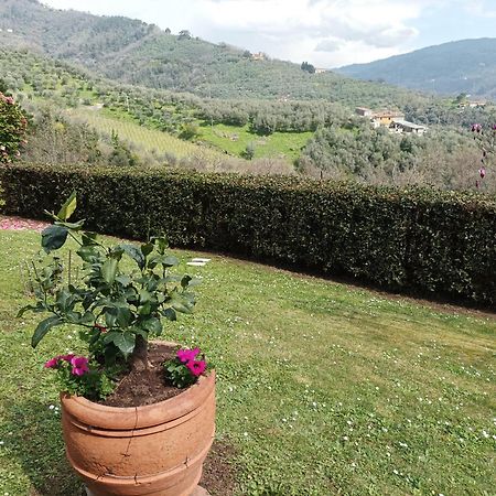 Villa Camelia Tuscany Pescia Kültér fotó