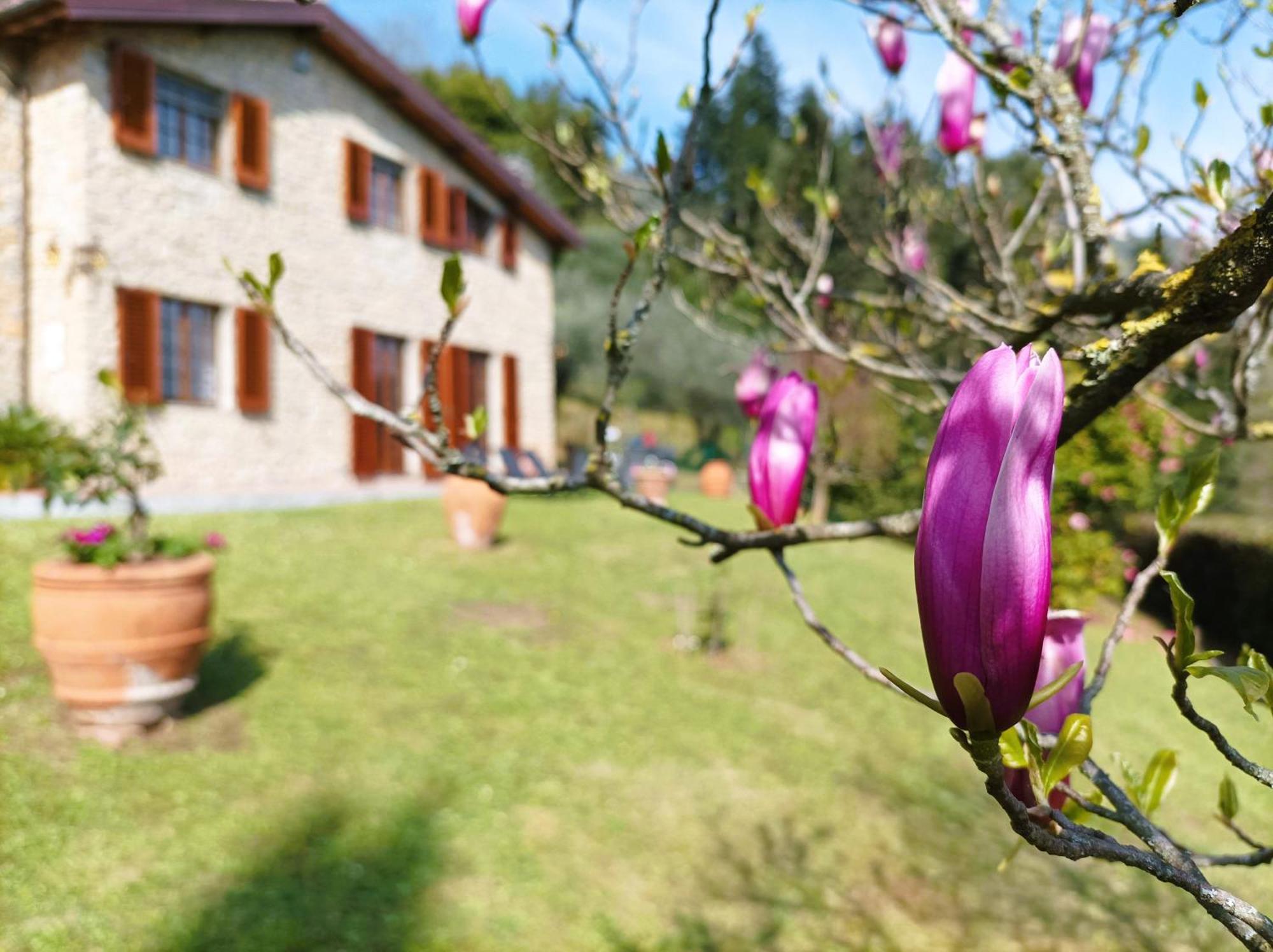Villa Camelia Tuscany Pescia Kültér fotó