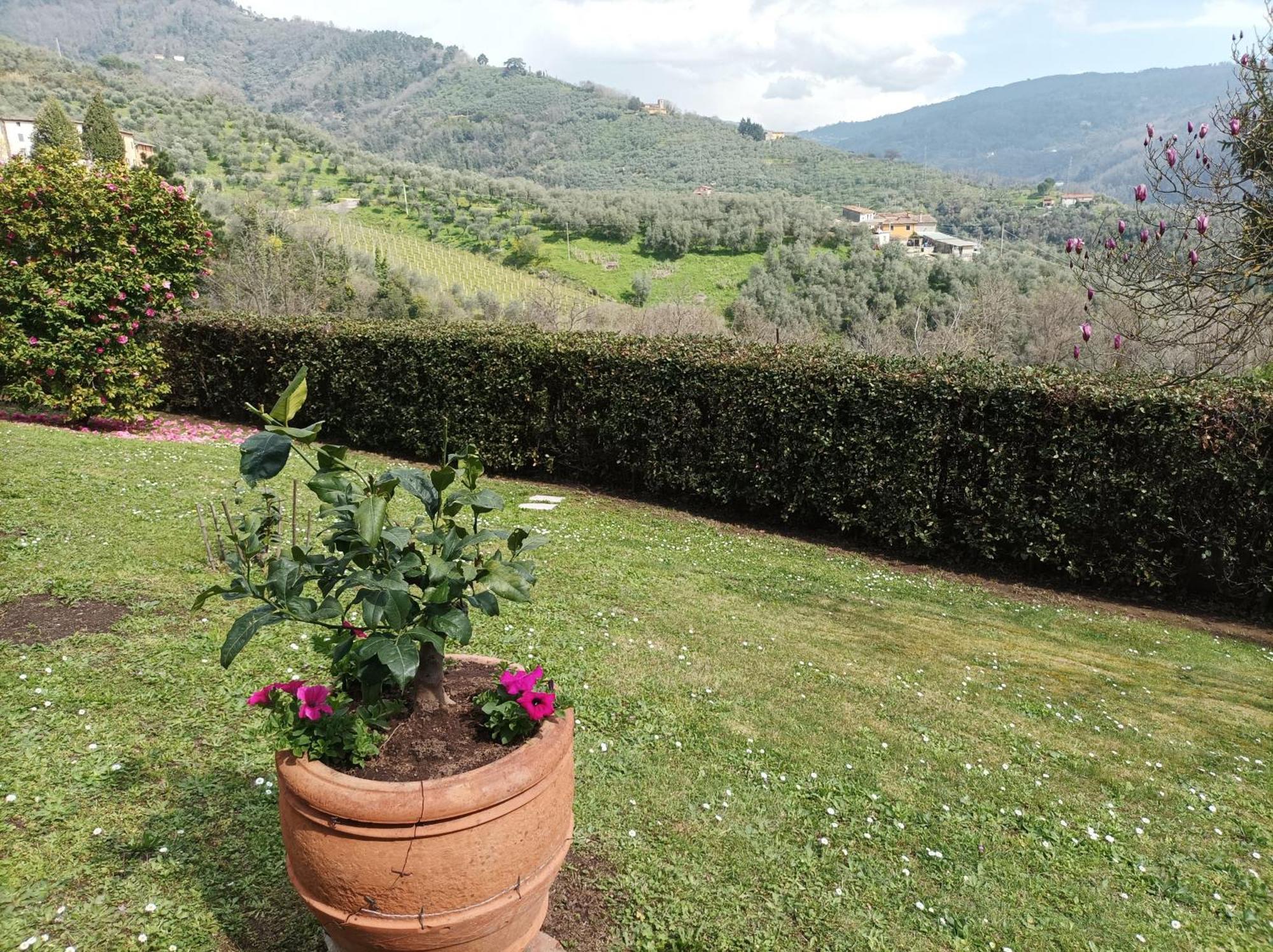 Villa Camelia Tuscany Pescia Kültér fotó